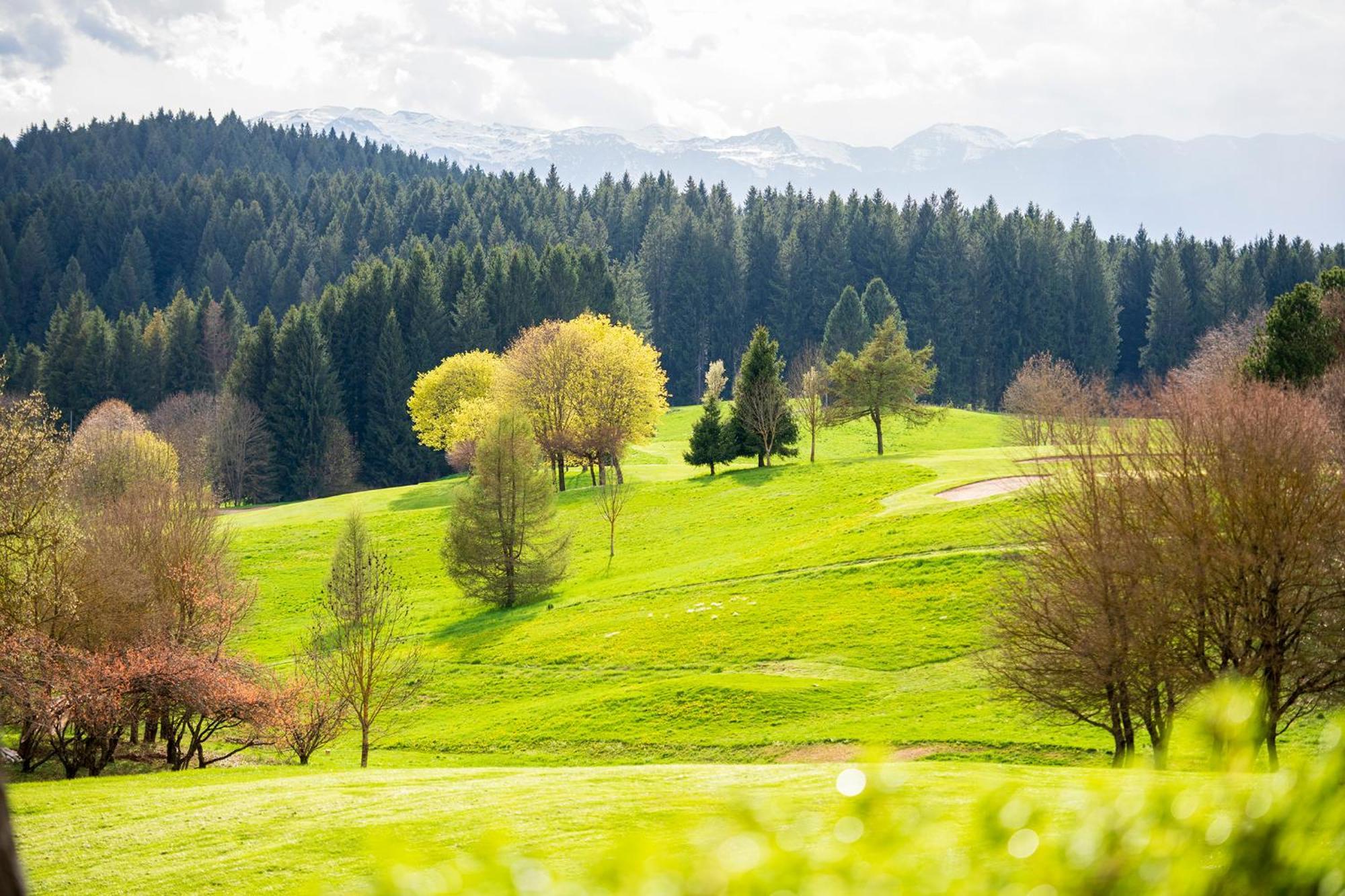 Villa Bonomo Charme Hotel Asiago Exterior photo